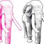 elephant.png